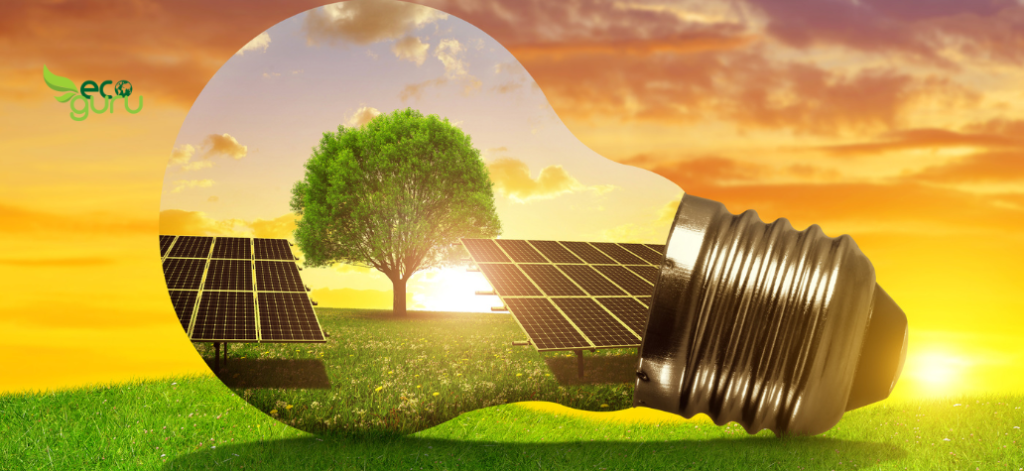 Going Solar: A Guide to Residential Solar Installation 1