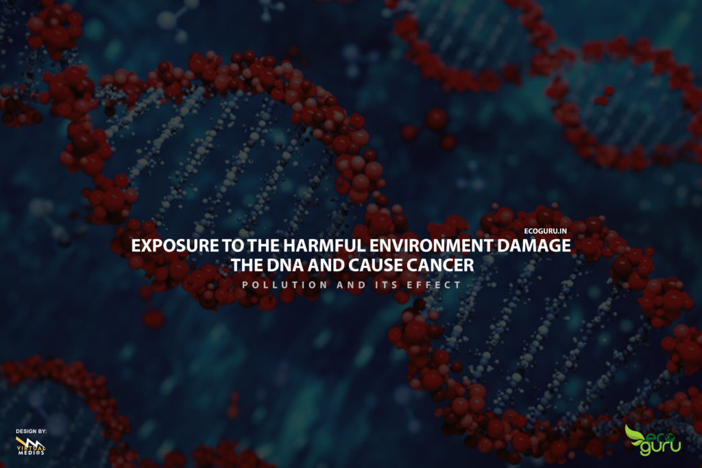 Effect of the environment on our health : Cancer 