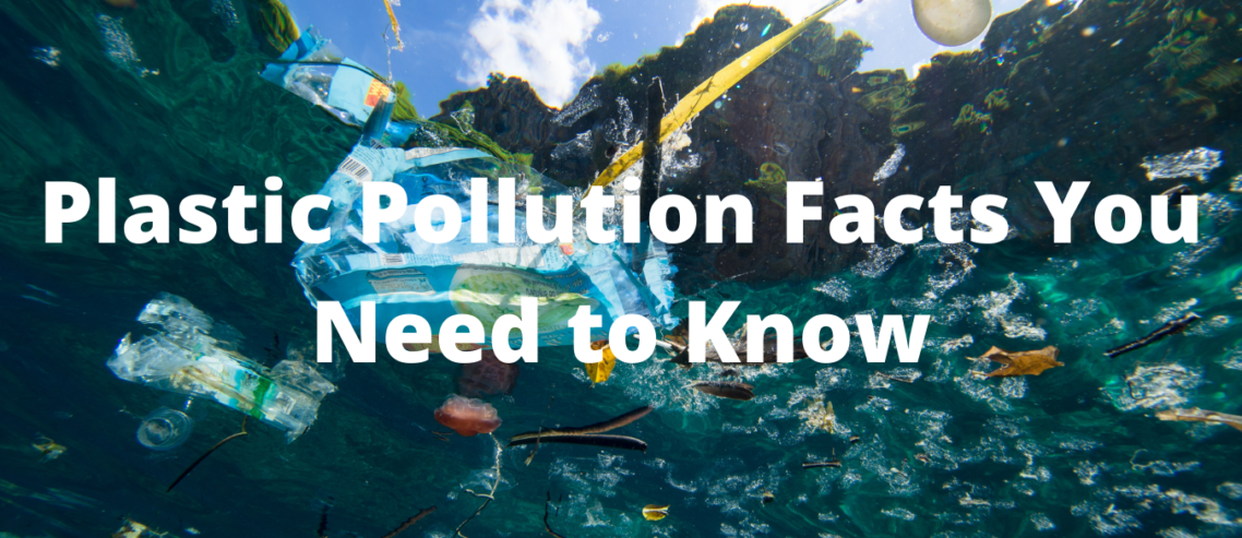 Plastic Pollution Facts