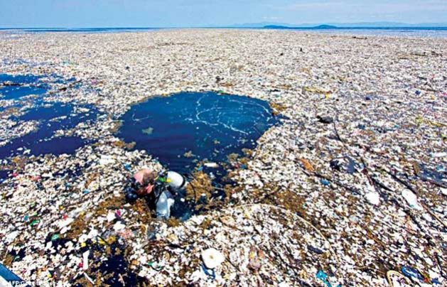 Plastic and other wastes in the sea