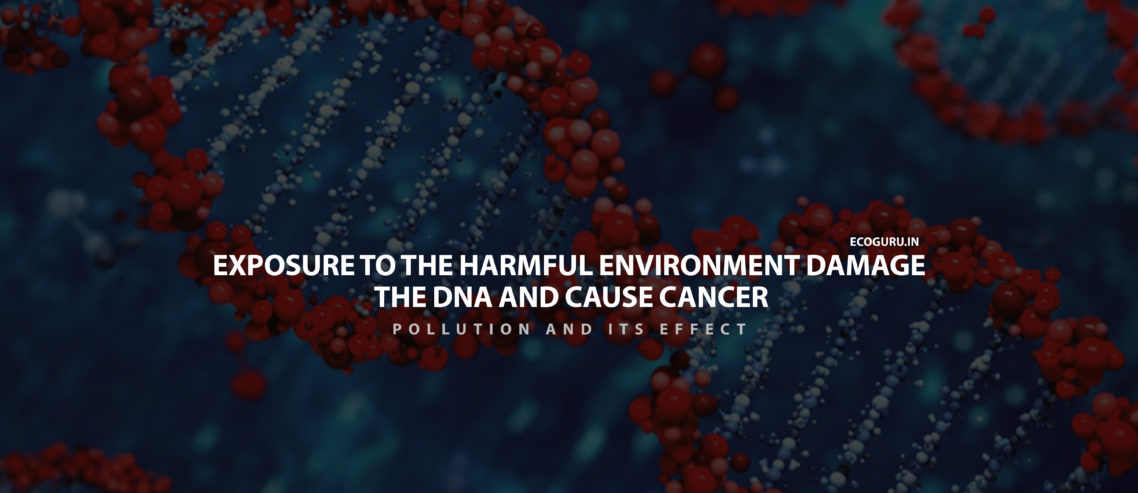 Cancer Caused because of environment and surroundings