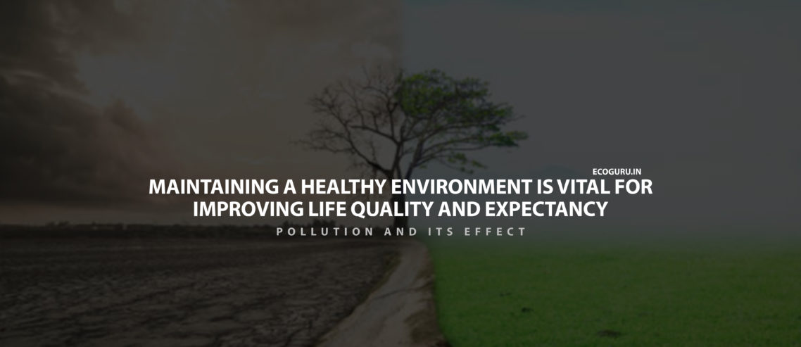 Effect Of The Environment On Your Health