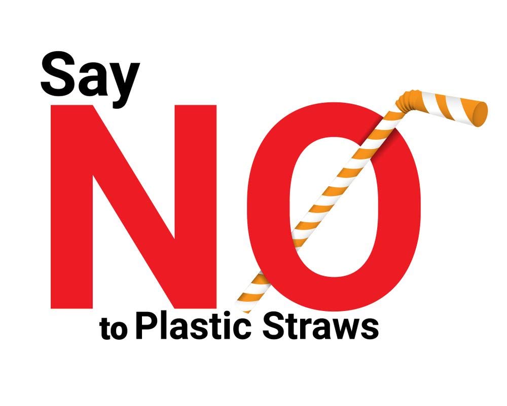 Say no plastic straws switch to reusable Eco friendly straws