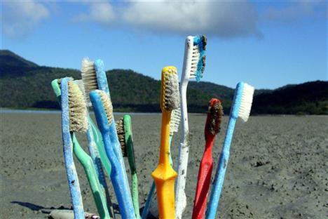 plastic brush pollution