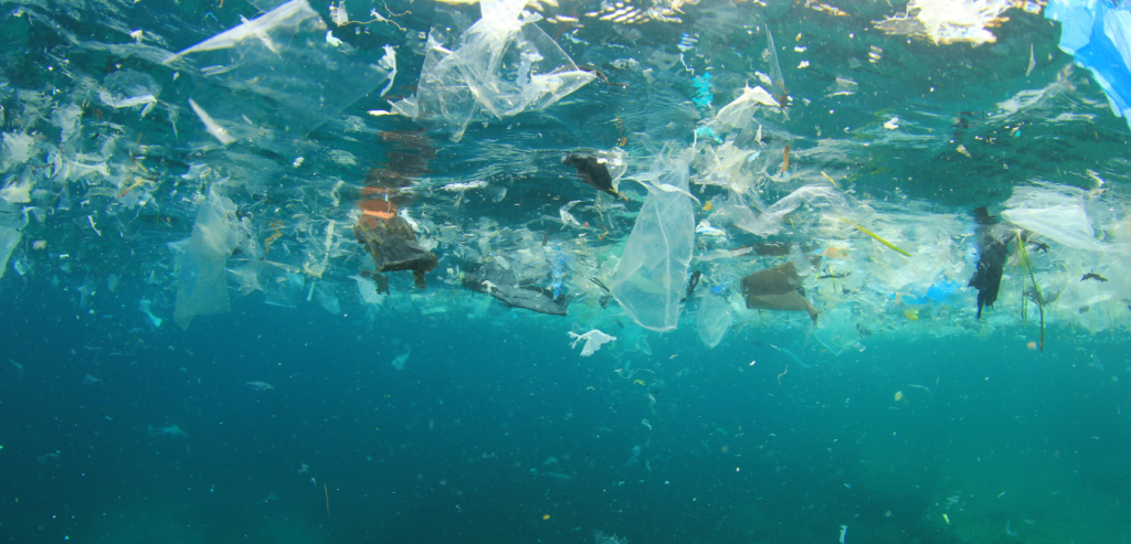 Facts About Plastic Pollution