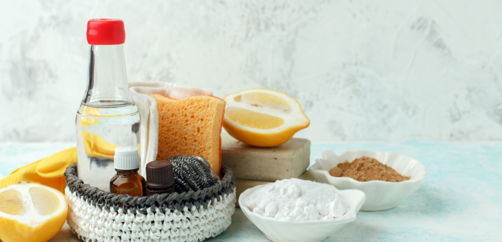 Green Business Ideas For Startup natural cleaning products