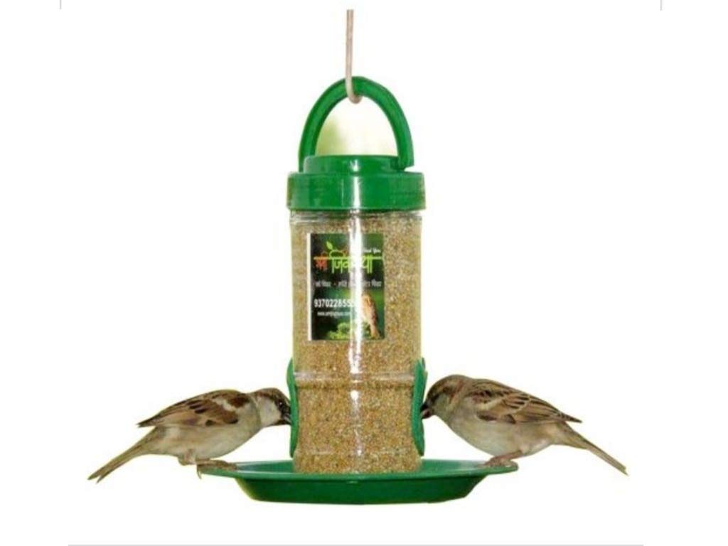 Birscaping By Providing Birds' Food