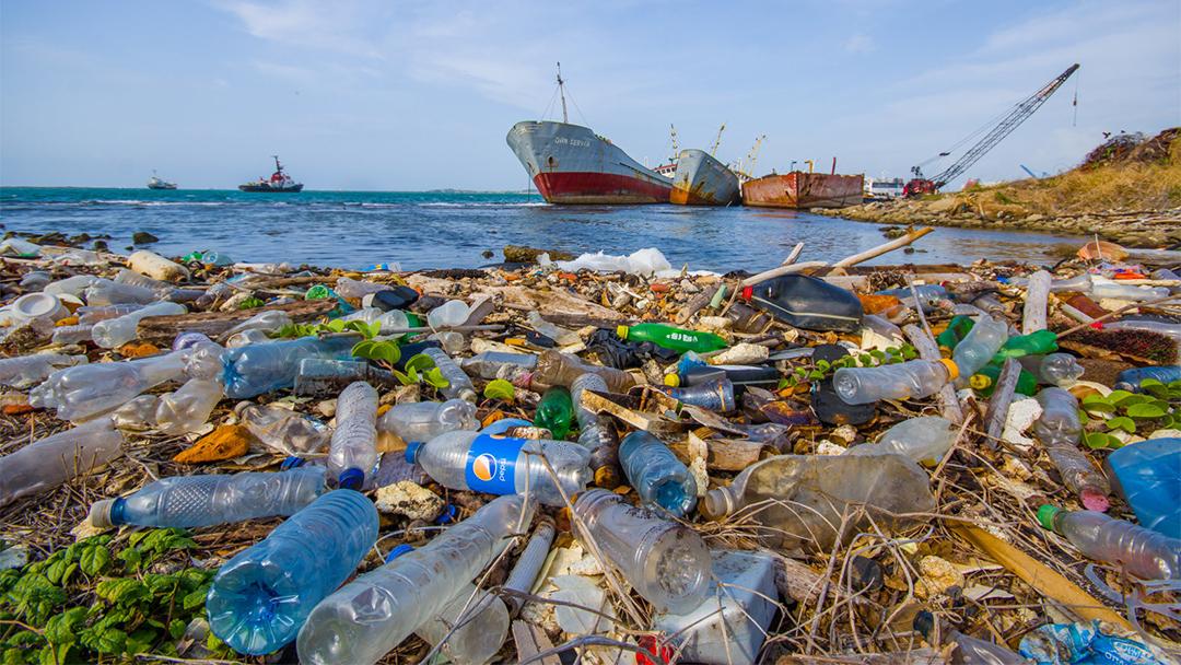 Plastic water bottles lying on a sea shore
