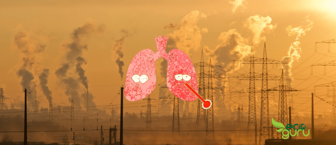 Pollution on lungs