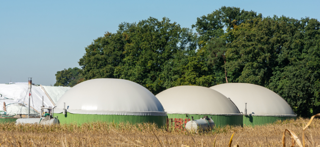 Renewable Energy Sources biomass energy