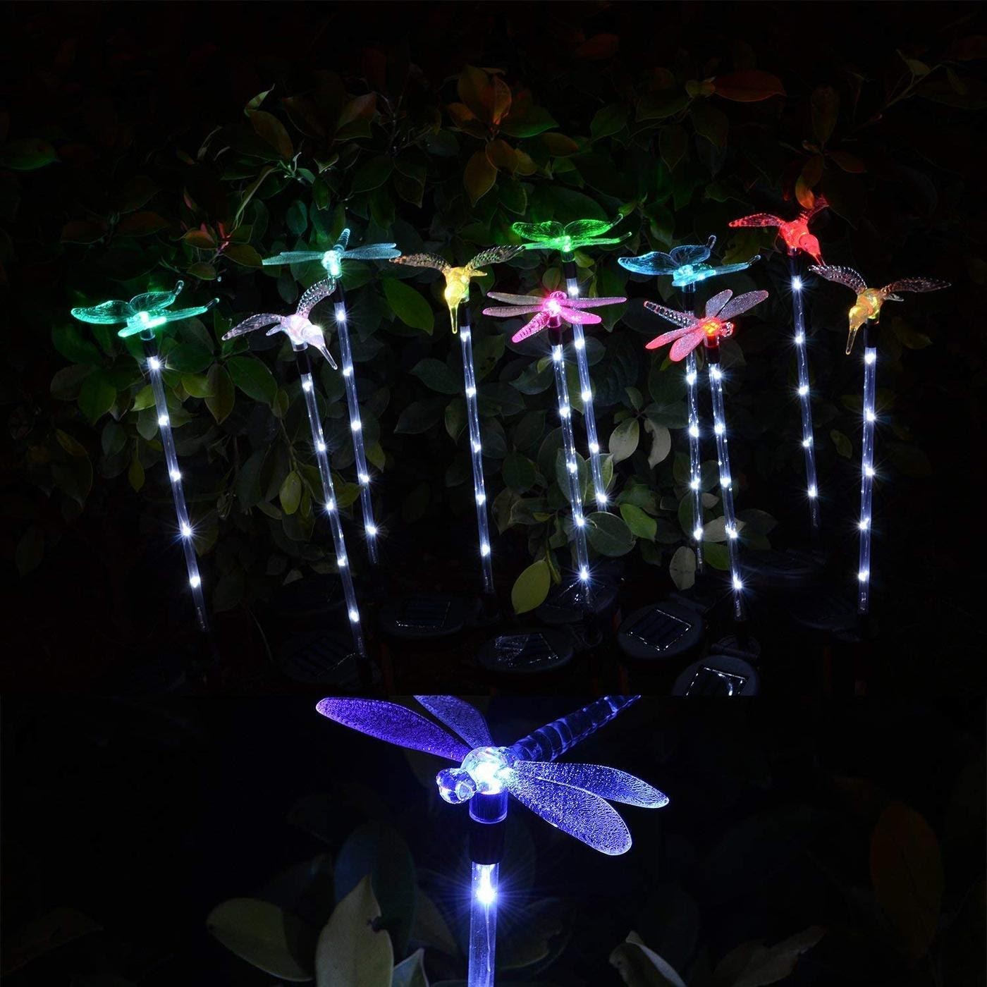 Solar Powered Outdoor