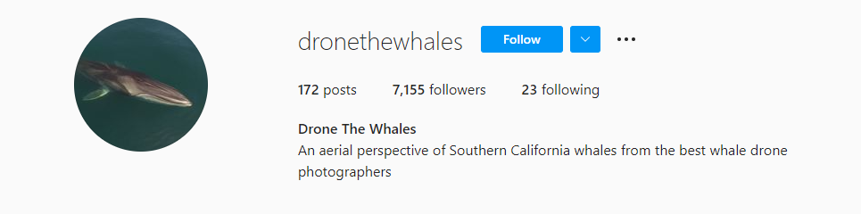 Nature Photography Environment Instagram Accounts