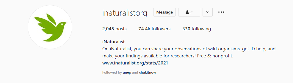 Photographer Environment Instagram Accounts