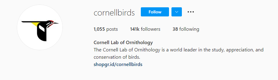 Nature Photography Environment Instagram Accounts