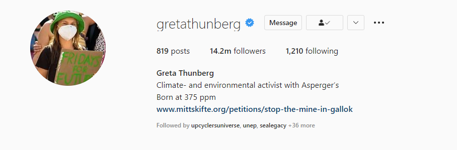 Activist Environment Instagram Accounts Greta Thunberg