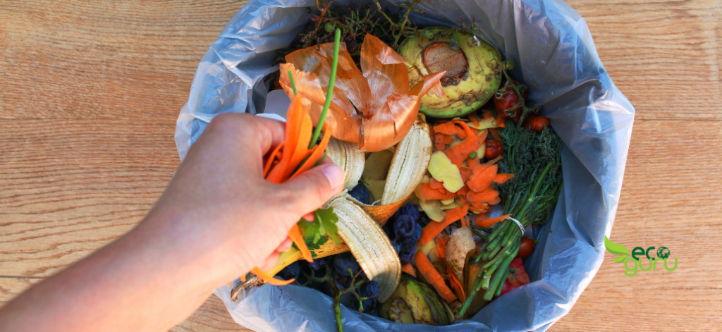 Reduce food waste Eco-Friendly Consumer