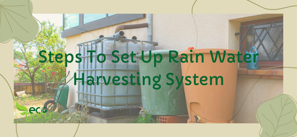Set Up Rain Water Harvesting System