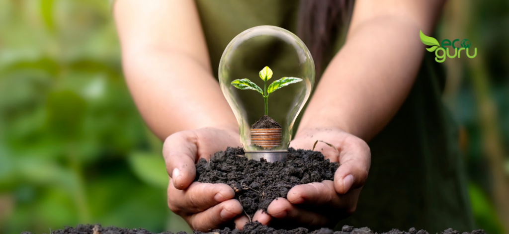 Tips To Travel Sustainably