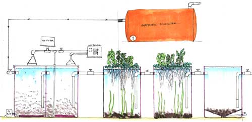 Setting Up Plant-Based Water Filter For Black Water Recycling