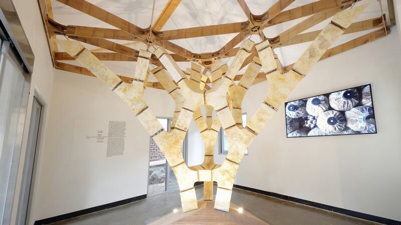 Mycelium Eco-friendly Building Materials