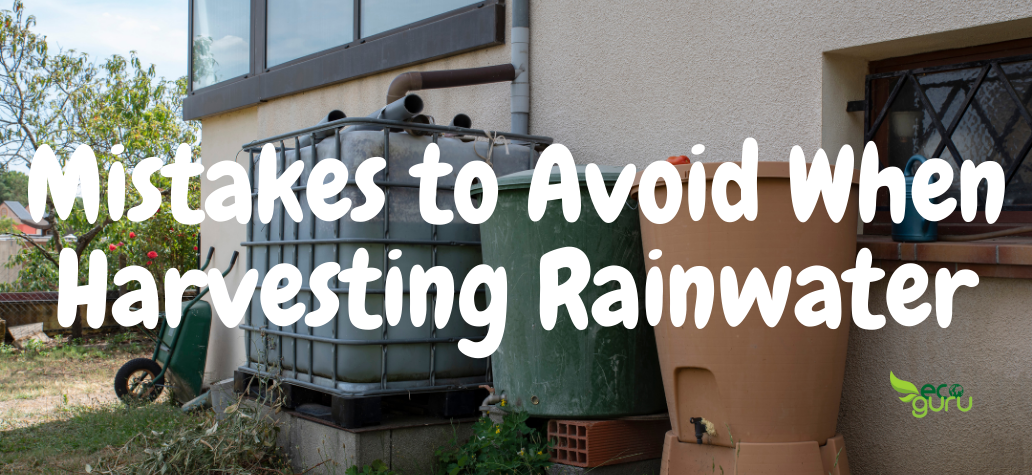 Mistakes to Avoid When Harvesting Rainwater