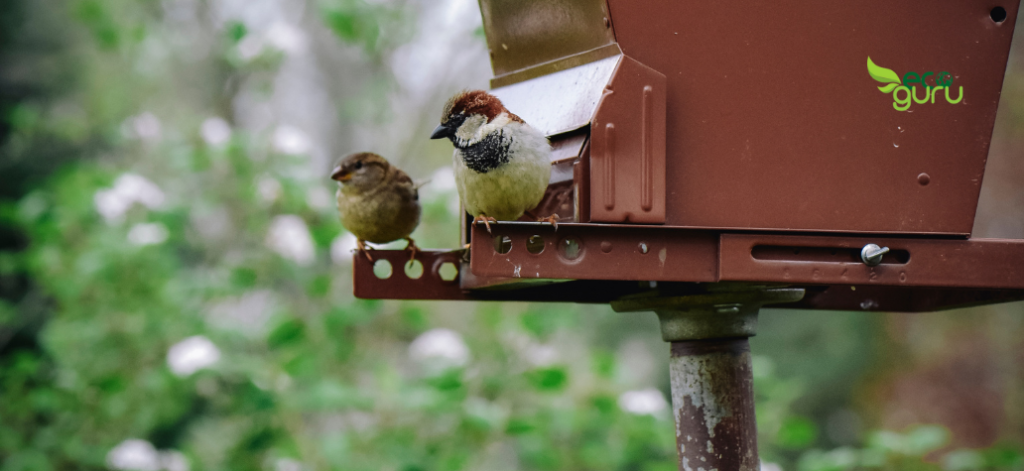Shelter For Birds Benefits of birdhouse
