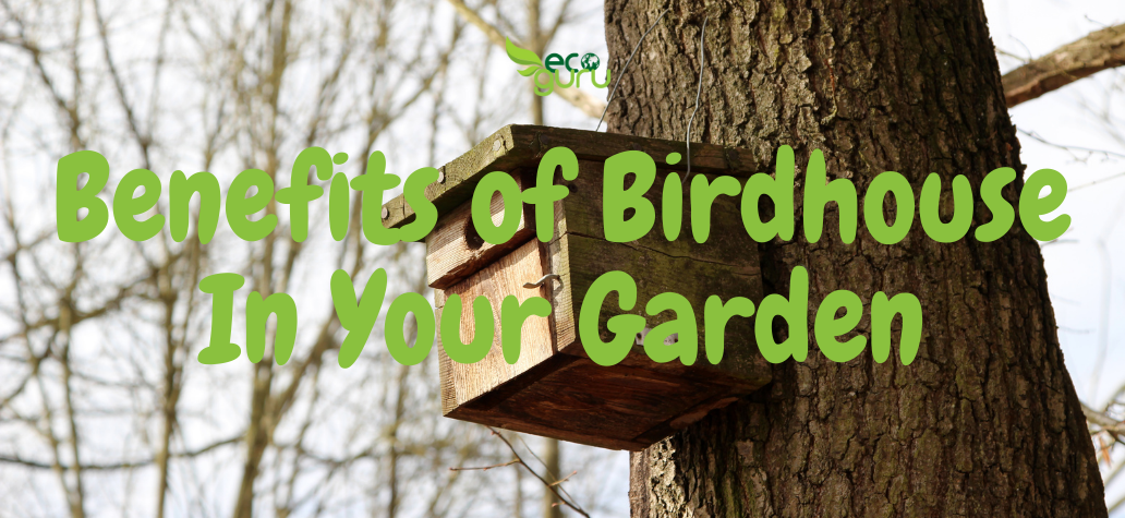 Benefits of Birdhouse In Your Garden
