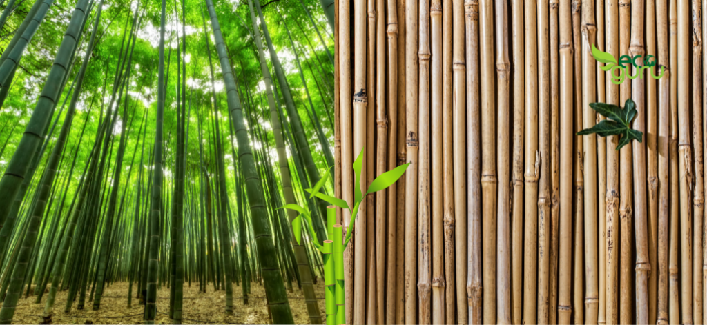 Bamboo Eco-friendly Building Materials
