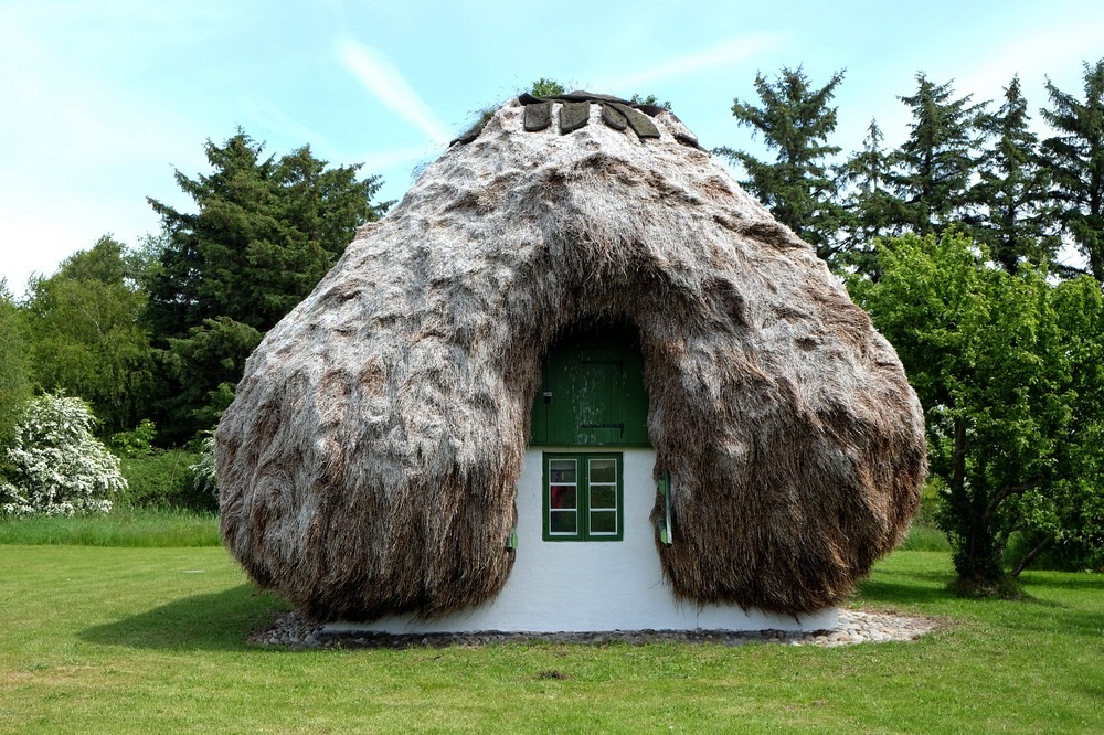 Sea Weed Eco-friendly Building Materials