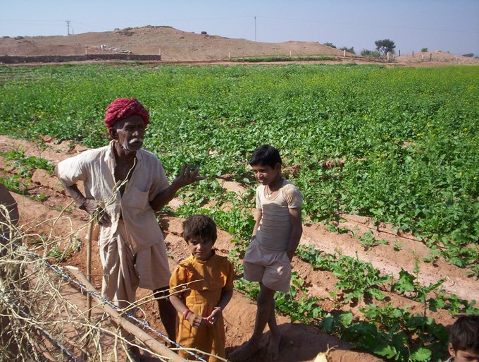 GReen Lush farm in thar desert Water Harvesting Projects In India