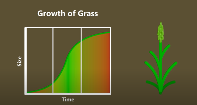 Regenerative Agriculture Growth of Grass
