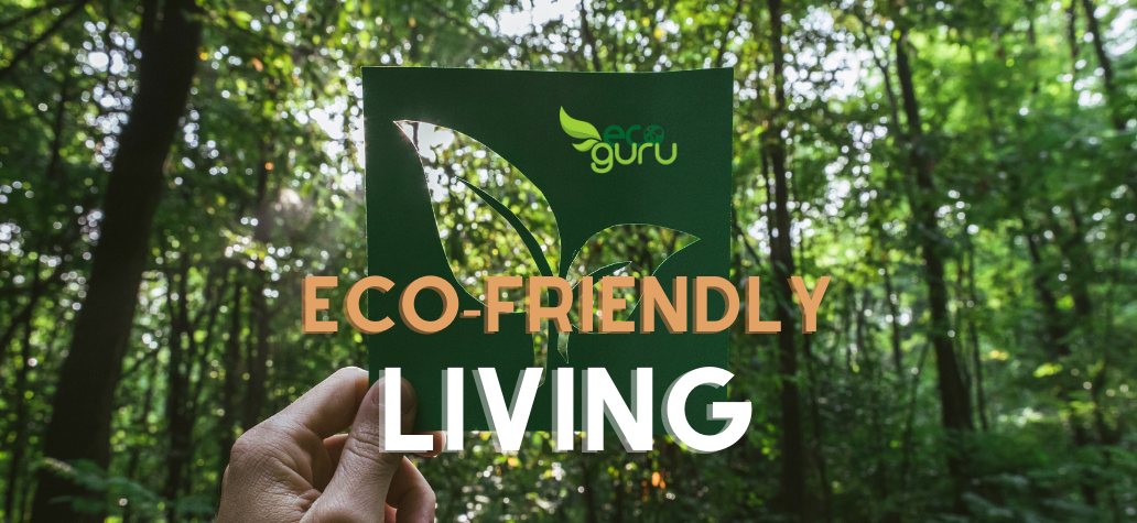 Eco-friendly Living