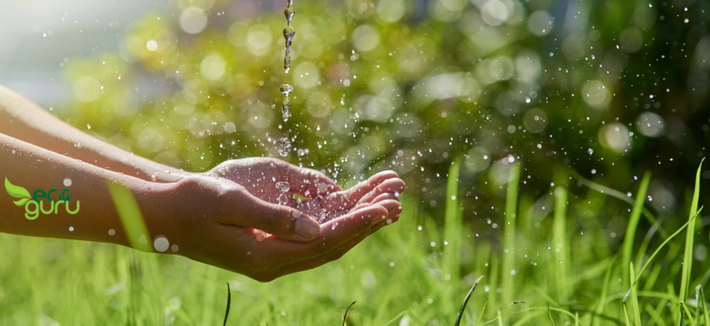 Going Green Conserving natural resources