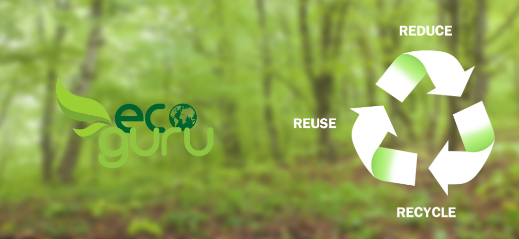 Eco-Conscious Consumerism REduce REsue REcycle