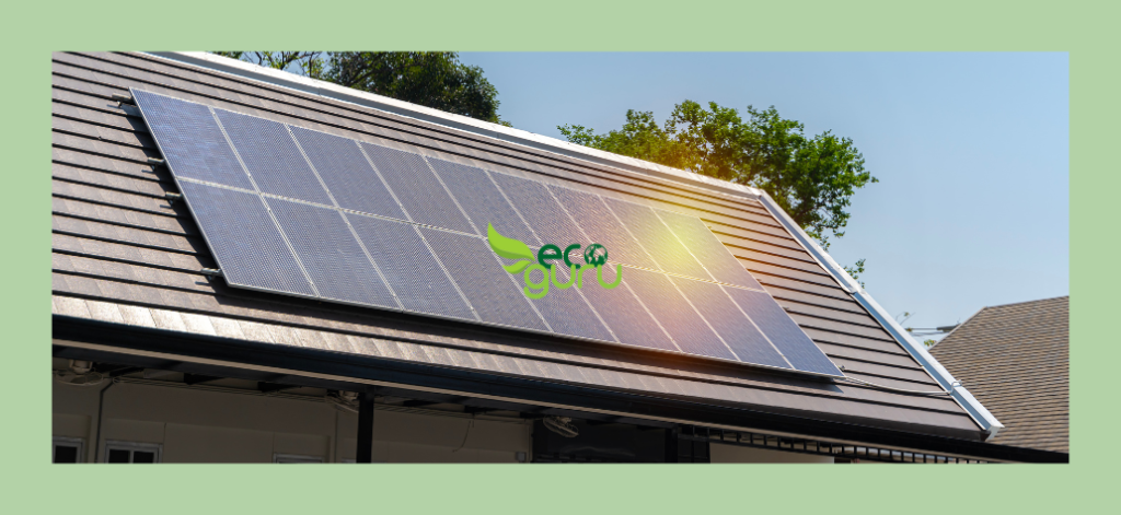 Community Solar Initiatives