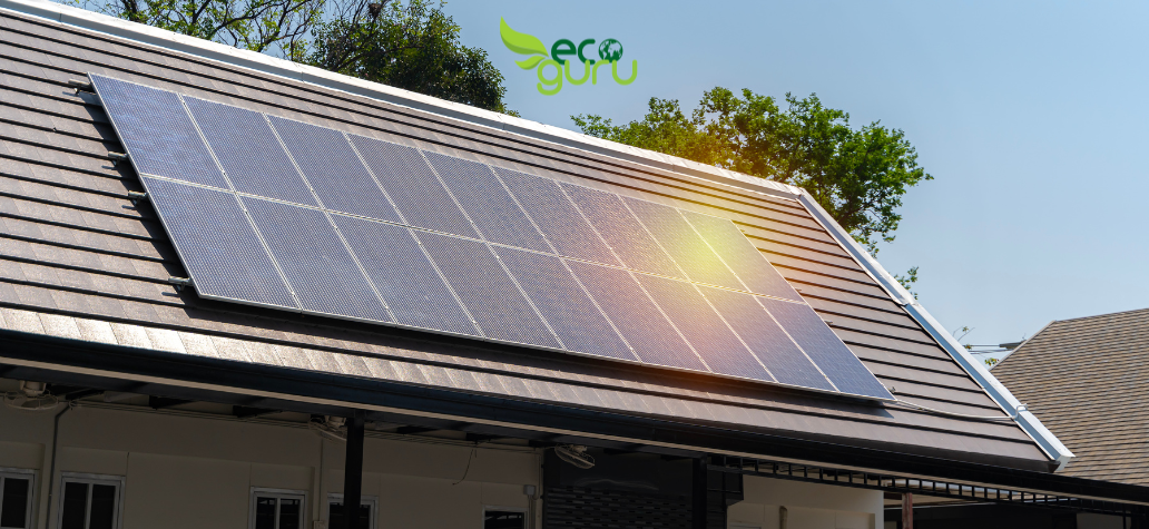 Solar Cells: The Building Blocks of Renewable Energy